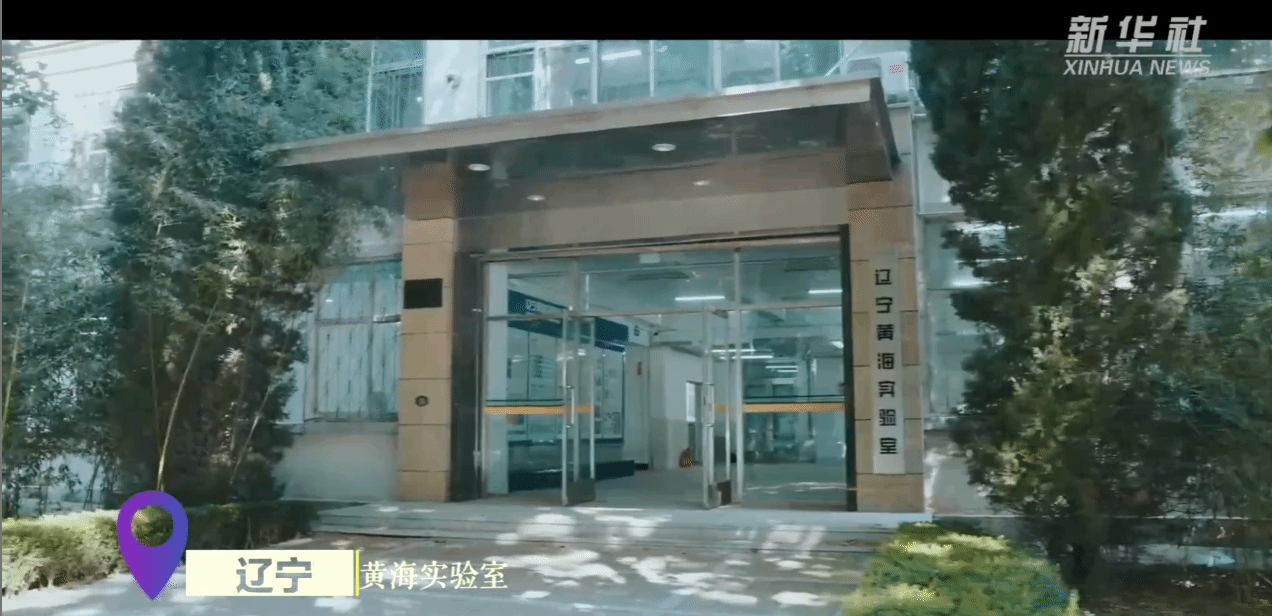 新质生产力观察｜改革释能 点燃新引擎
