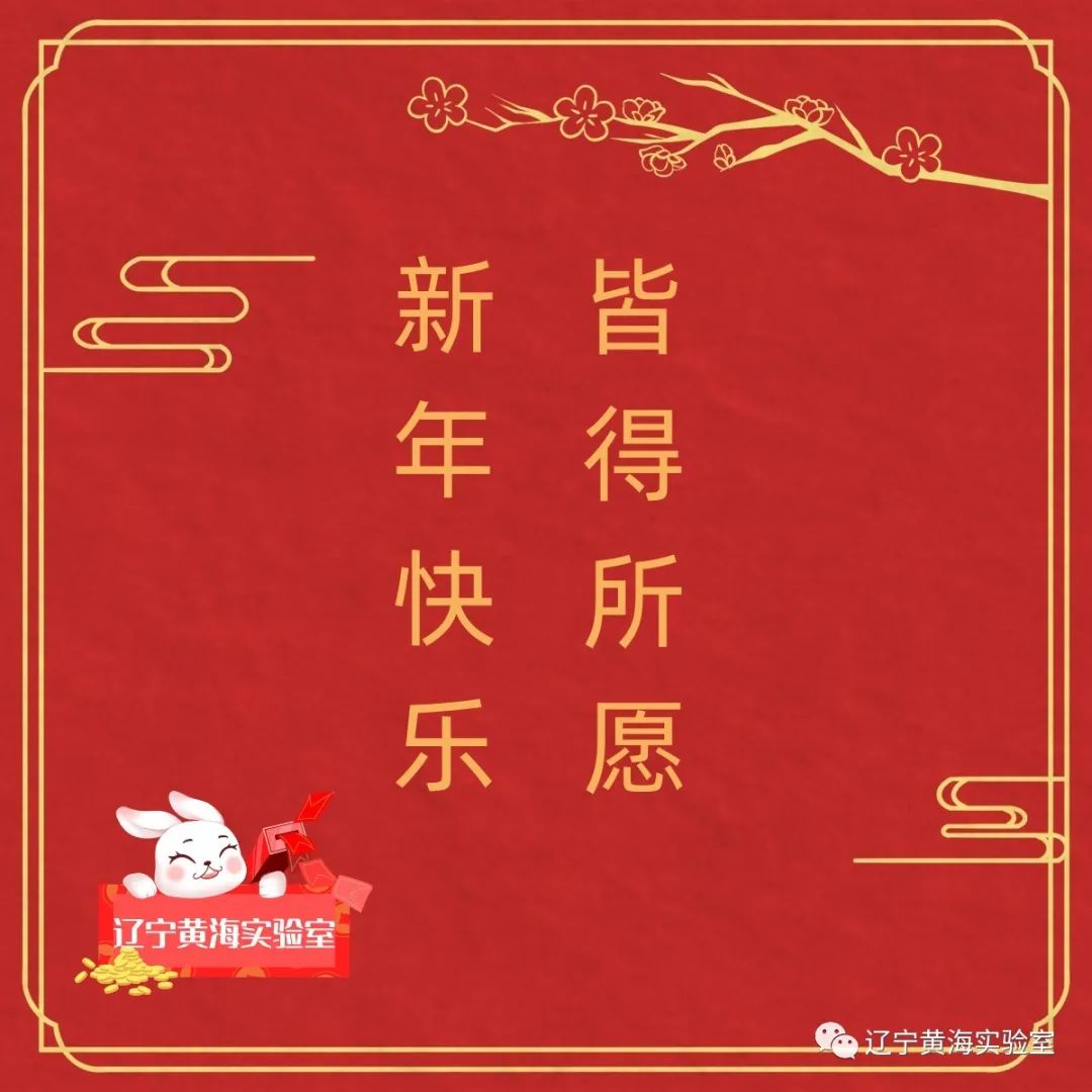 辽宁黄海实验室祝大家新年快乐，皆得所愿！